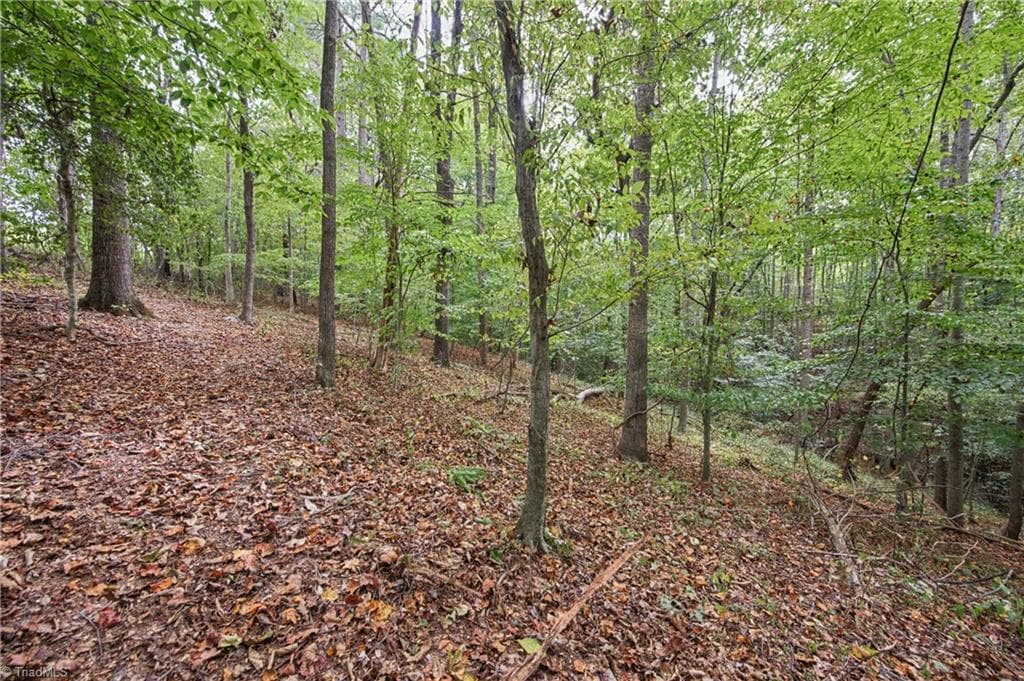 Single Family Residence at 01 Bovendertown Road, Yadkinville NC 27055, Yadkinville, photo 10 of 26