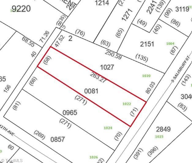 Unimproved Land at 1022 S Salisbury Street, Lexington NC 27292, Lexington, photo 3 of 6
