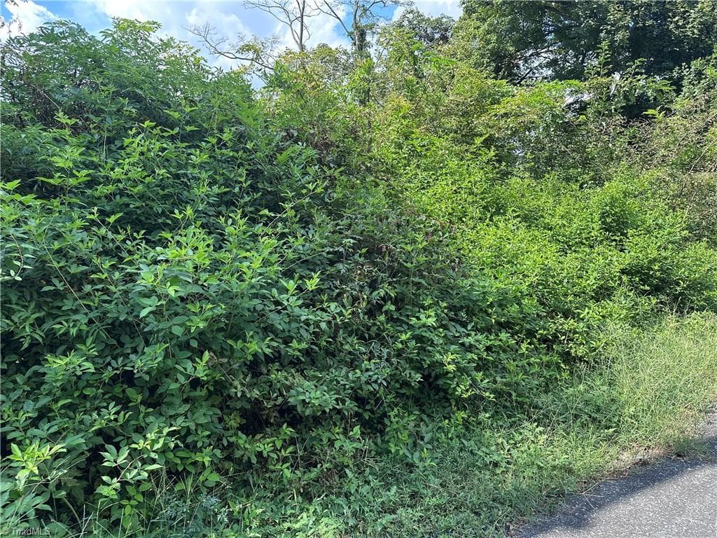 Unimproved Land at 1022 S Salisbury Street, Lexington NC 27292, Lexington, photo 5 of 6