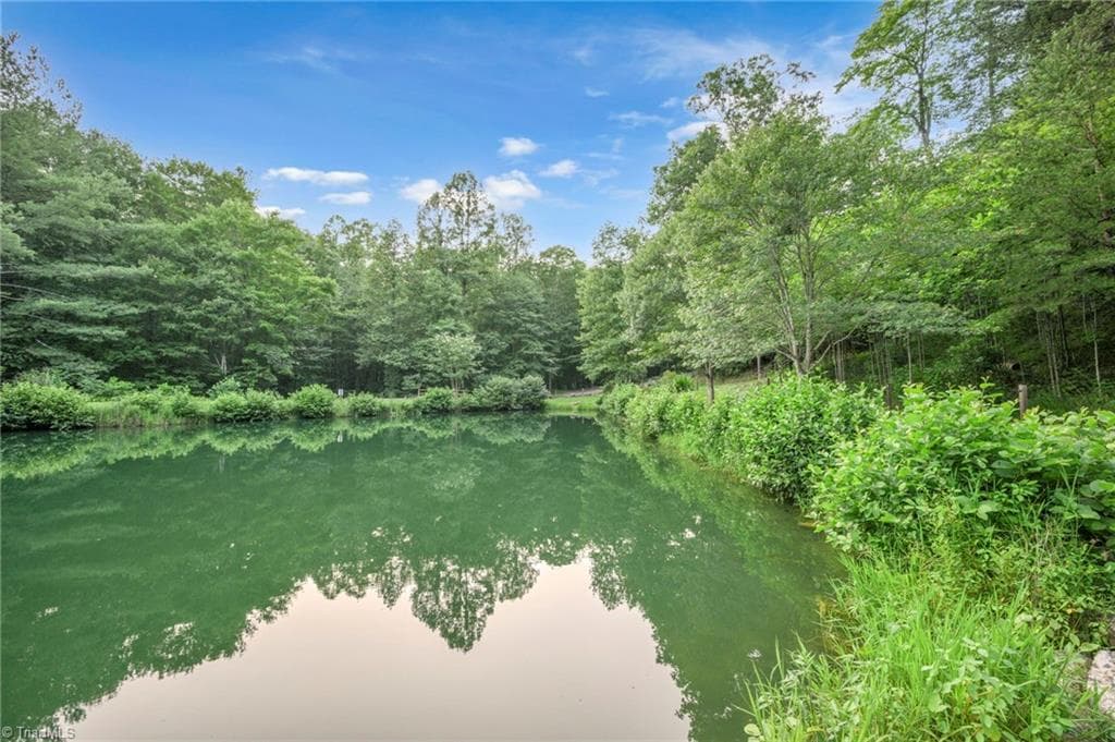 Stick/Site Built at 1158 Staghorn Road, Purlear NC 28665, Purlear, photo 44 of 48