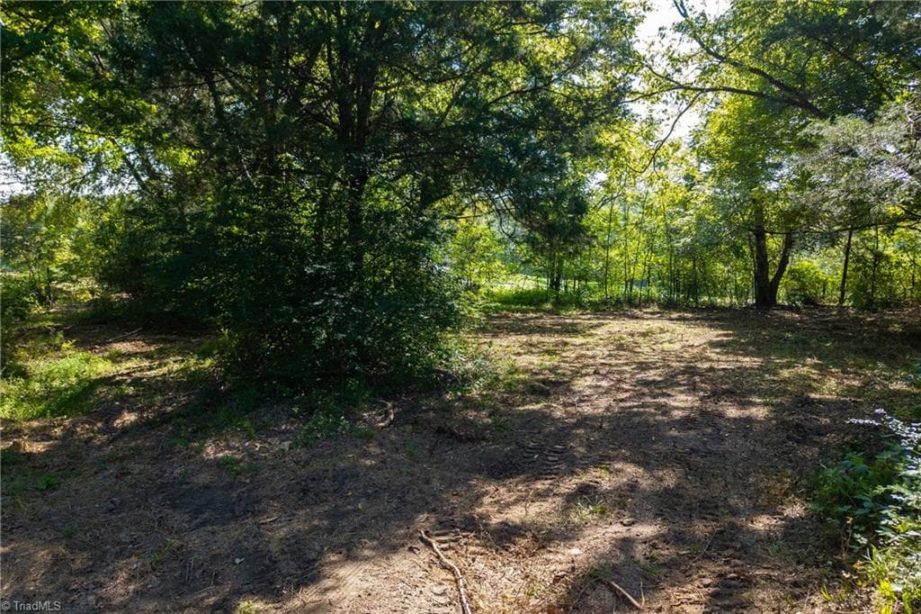 Unimproved Land at Lot 2 Pennstar Trail, Mebane NC 27302, Mebane, photo 14 of 15