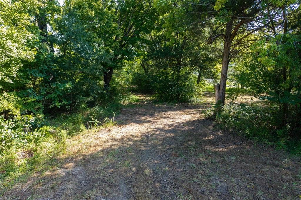 Unimproved Land at Lot 2 Pennstar Trail, Mebane NC 27302, Mebane, photo 4 of 15