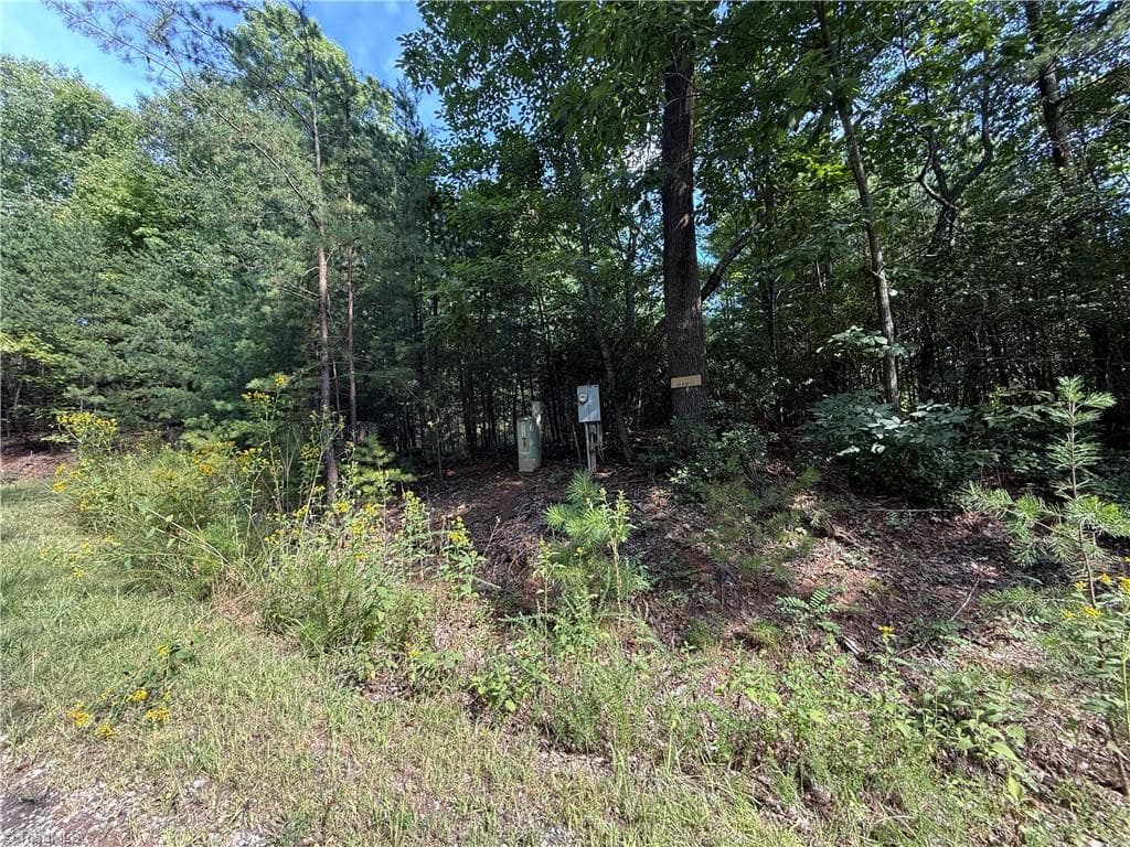 Single Family Residence at Lot 24 Wolf Pen Road, Purlear NC 28665, photo 2 of 36