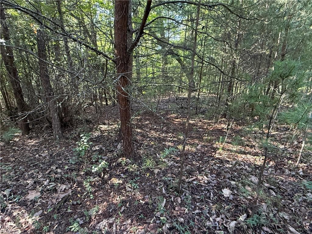 Single Family Residence at Lot 24 Wolf Pen Road, Purlear NC 28665, photo 12 of 36