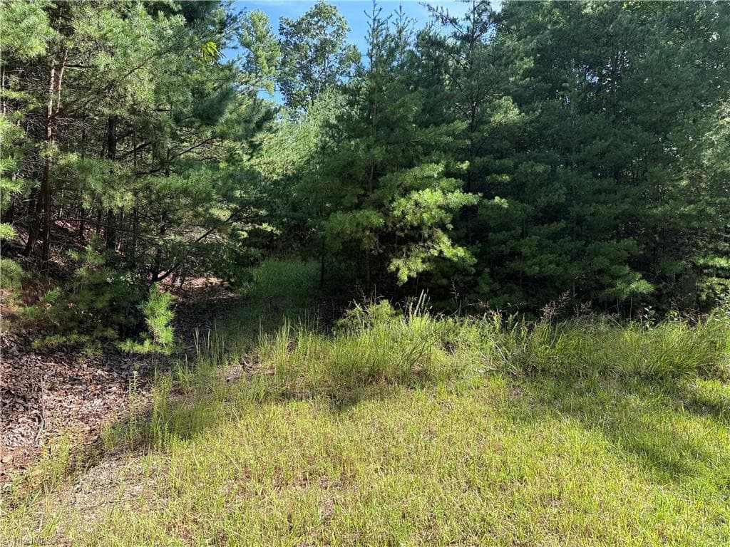 Single Family Residence at Lot 24 Wolf Pen Road, Purlear NC 28665, photo 3 of 36