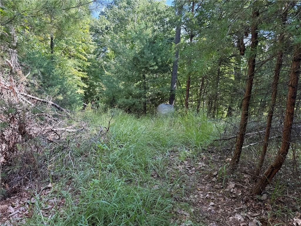 Single Family Residence at Lot 24 Wolf Pen Road, Purlear NC 28665, photo 15 of 36
