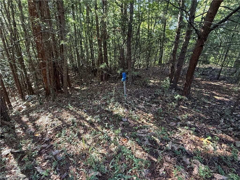 Single Family Residence at Lot 24 Wolf Pen Road, Purlear NC 28665, photo 11 of 36