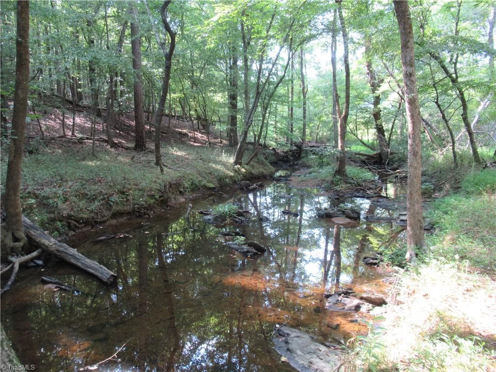 Unimproved Land at 2643 Roberts Chapel Road, Goldston NC 27252, photo 23 of 46