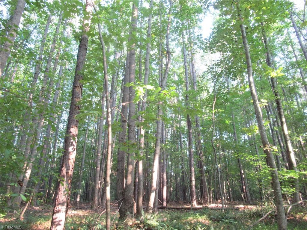Unimproved Land at 2643 Roberts Chapel Road, Goldston NC 27252, photo 46 of 46