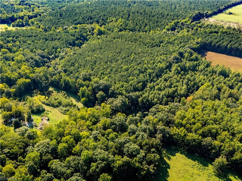 Unimproved Land at 2643 Roberts Chapel Road, Goldston NC 27252, photo 3 of 46