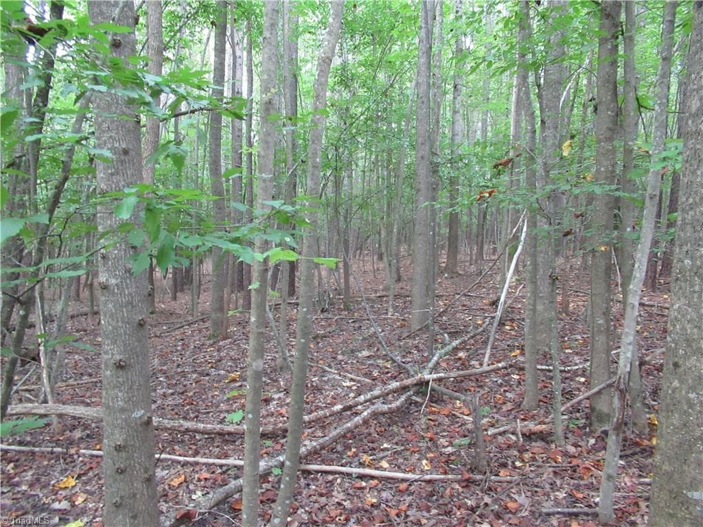 Unimproved Land at 2643 Roberts Chapel Road, Goldston NC 27252, photo 32 of 46