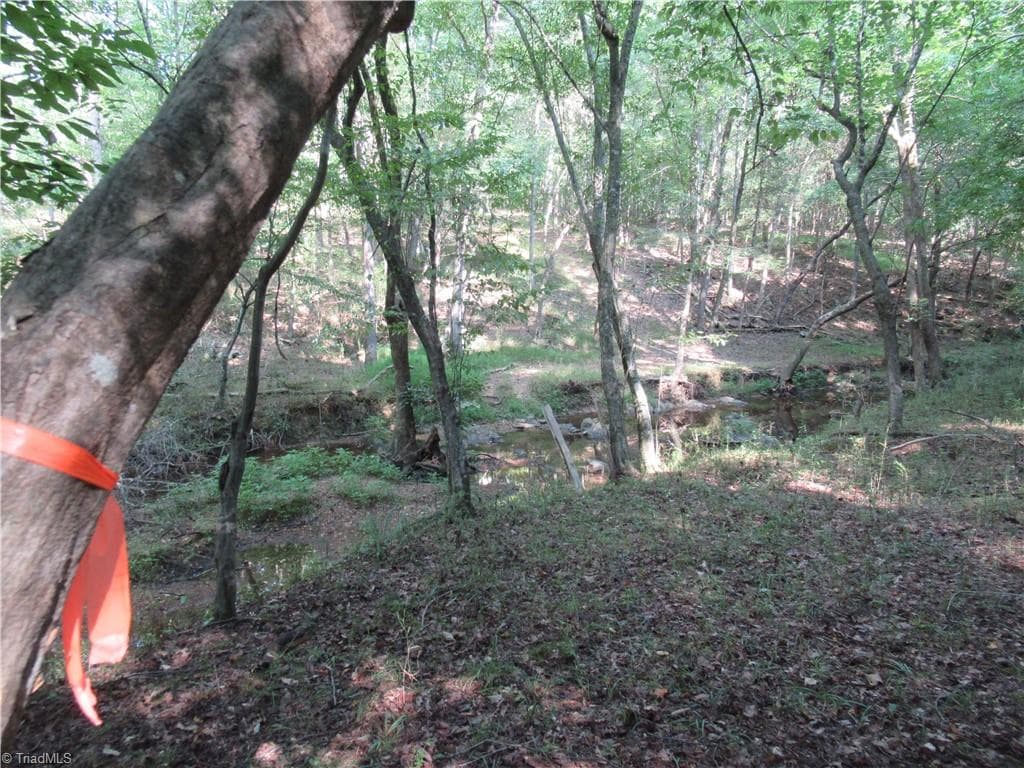 Unimproved Land at 2643 Roberts Chapel Road, Goldston NC 27252, photo 28 of 46