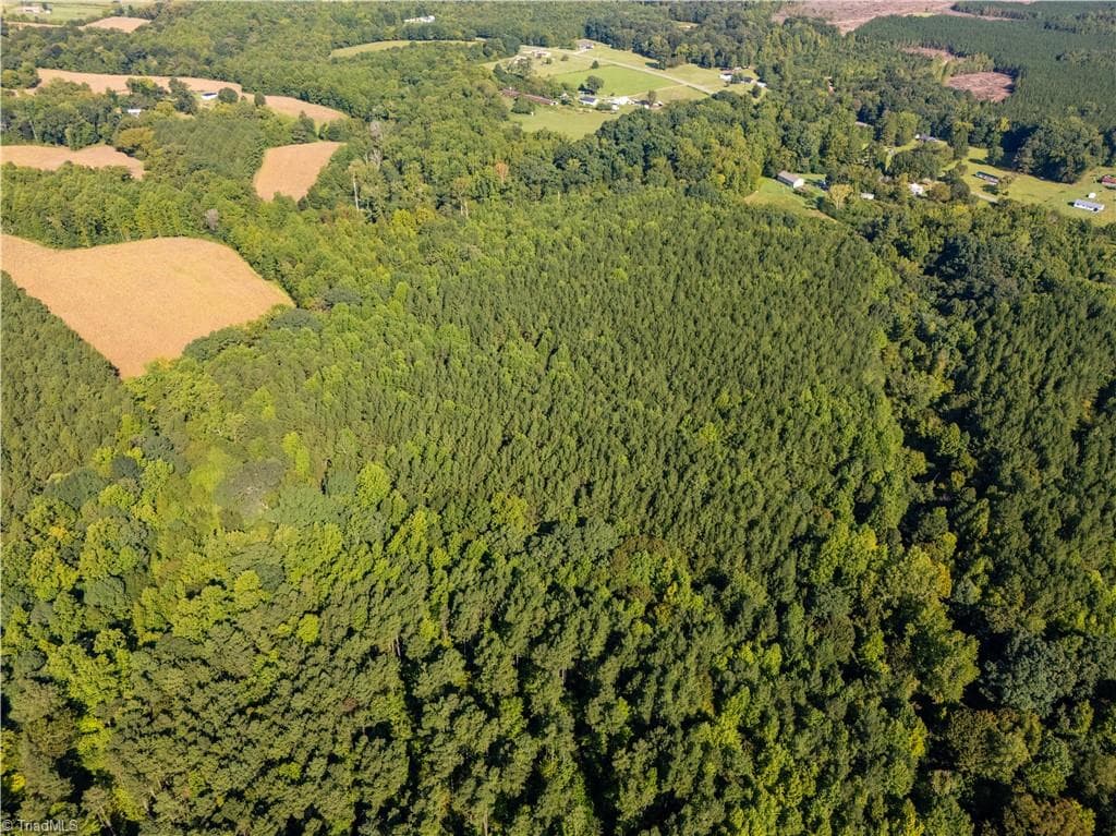 Unimproved Land at 2643 Roberts Chapel Road, Goldston NC 27252, photo 5 of 46