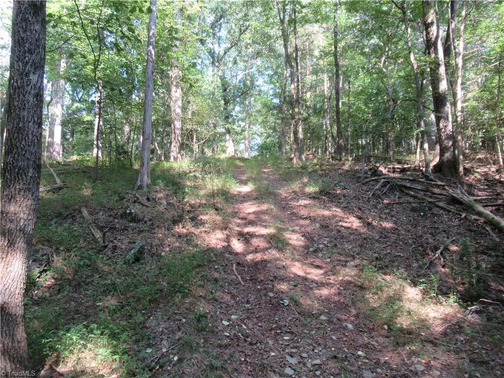 Unimproved Land at 2643 Roberts Chapel Road, Goldston NC 27252, photo 20 of 46