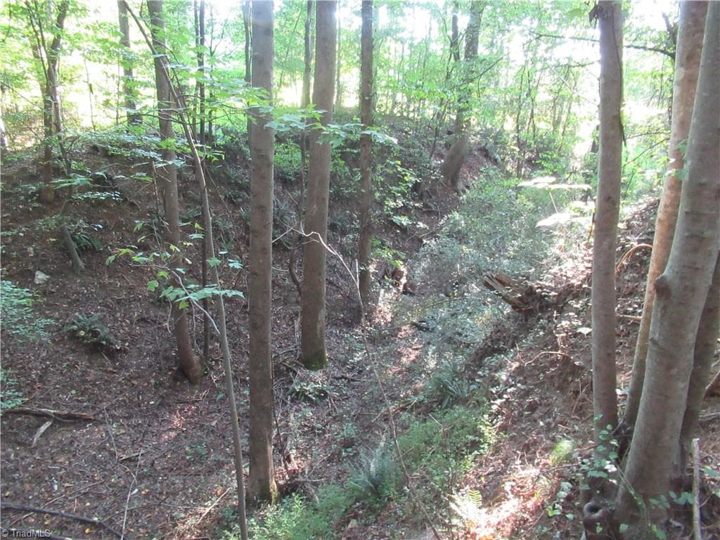 Unimproved Land at 2643 Roberts Chapel Road, Goldston NC 27252, photo 41 of 46