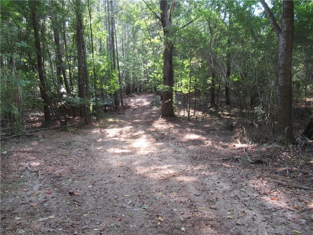Unimproved Land at 2643 Roberts Chapel Road, Goldston NC 27252, photo 15 of 46