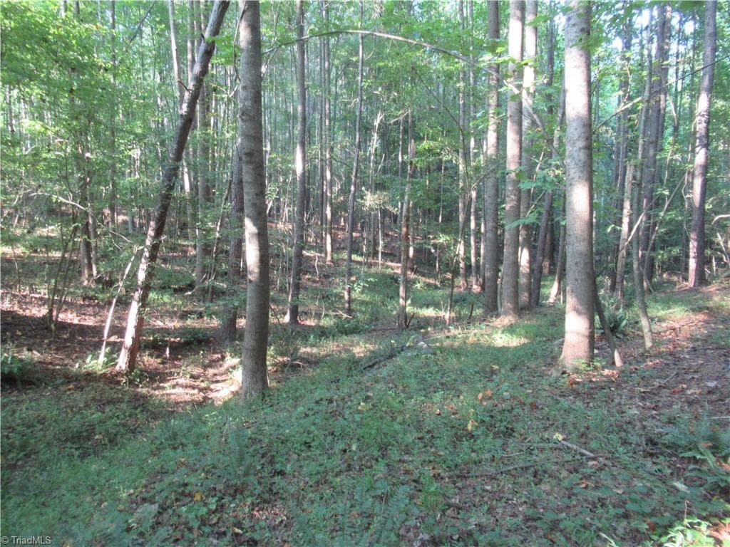 Unimproved Land at 2643 Roberts Chapel Road, Goldston NC 27252, photo 44 of 46