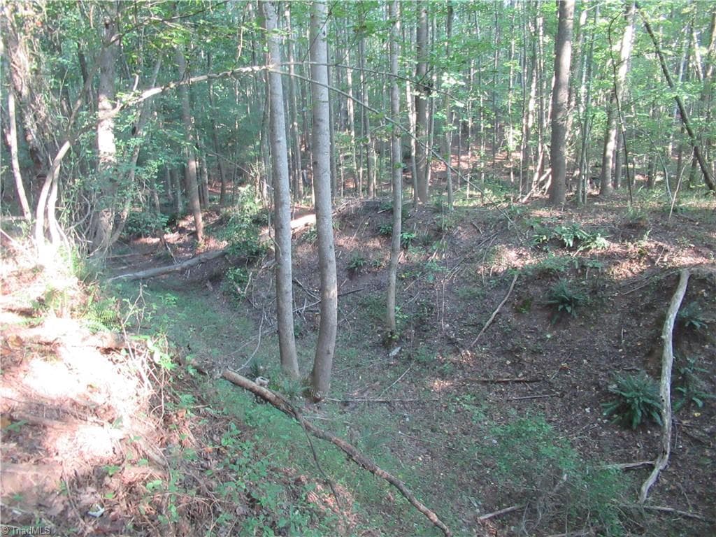 Unimproved Land at 2643 Roberts Chapel Road, Goldston NC 27252, photo 39 of 46