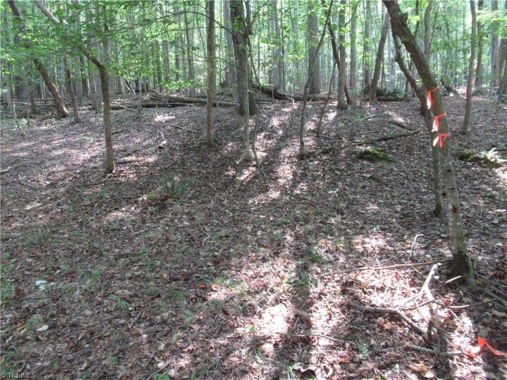 Unimproved Land at 2643 Roberts Chapel Road, Goldston NC 27252, photo 25 of 46
