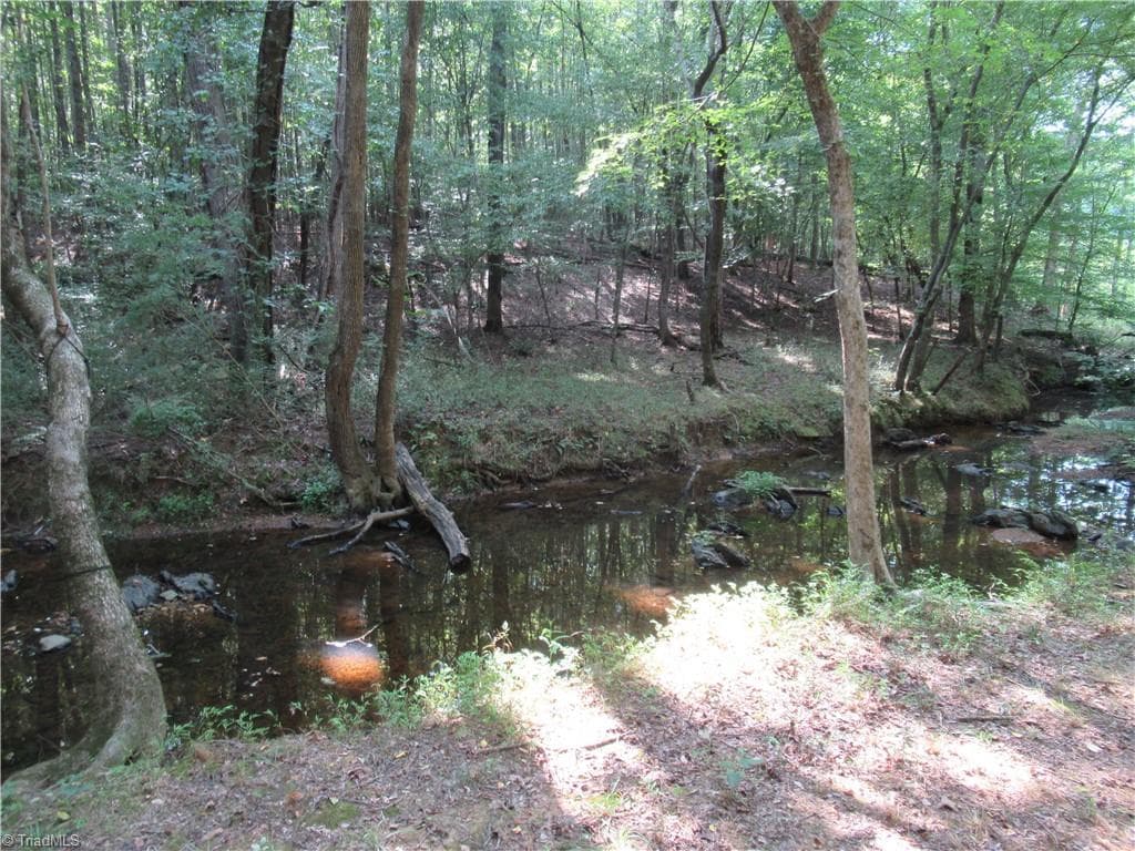 Unimproved Land at 2643 Roberts Chapel Road, Goldston NC 27252, photo 21 of 46