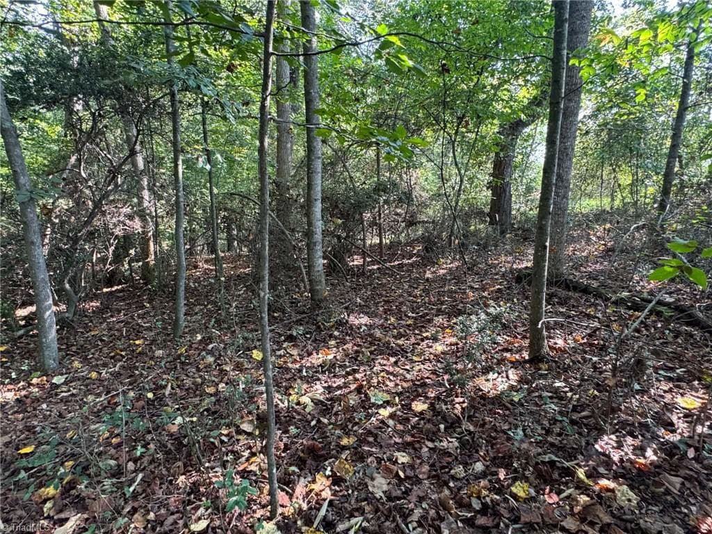 Stick/Site Built at 2709 Murray Road, State Road NC 28676, State Road, photo 71 of 76