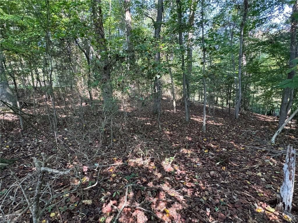 Stick/Site Built at 2709 Murray Road, State Road NC 28676, State Road, photo 69 of 76