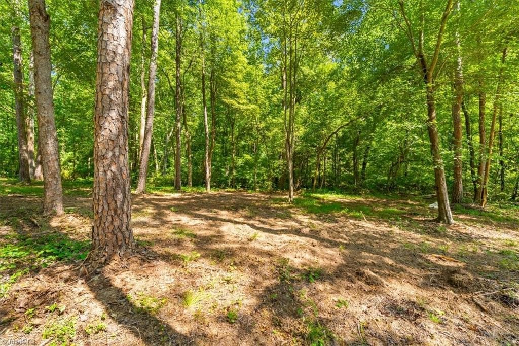 Single Family Residence at 5833 Thacker Dairy Road, Whitsett NC 27377, photo 10 of 14