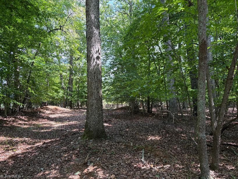 00 Bear Creek Church Road, Mocksville NC 27028