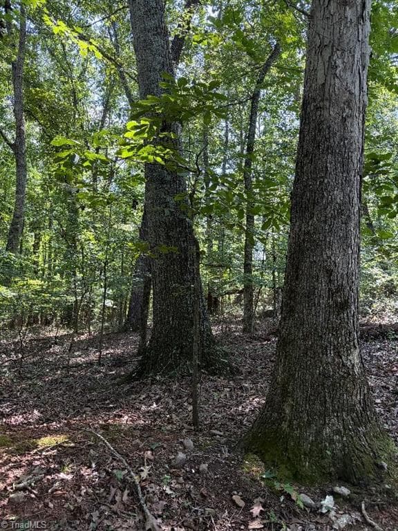 Unimproved Land at 00 Bear Creek Church Road, Mocksville NC 27028, Mocksville, photo 15 of 24