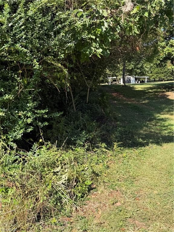 Unimproved Land at 0 Soapstone Mountain Road, Liberty NC 27298, photo 3 of 6