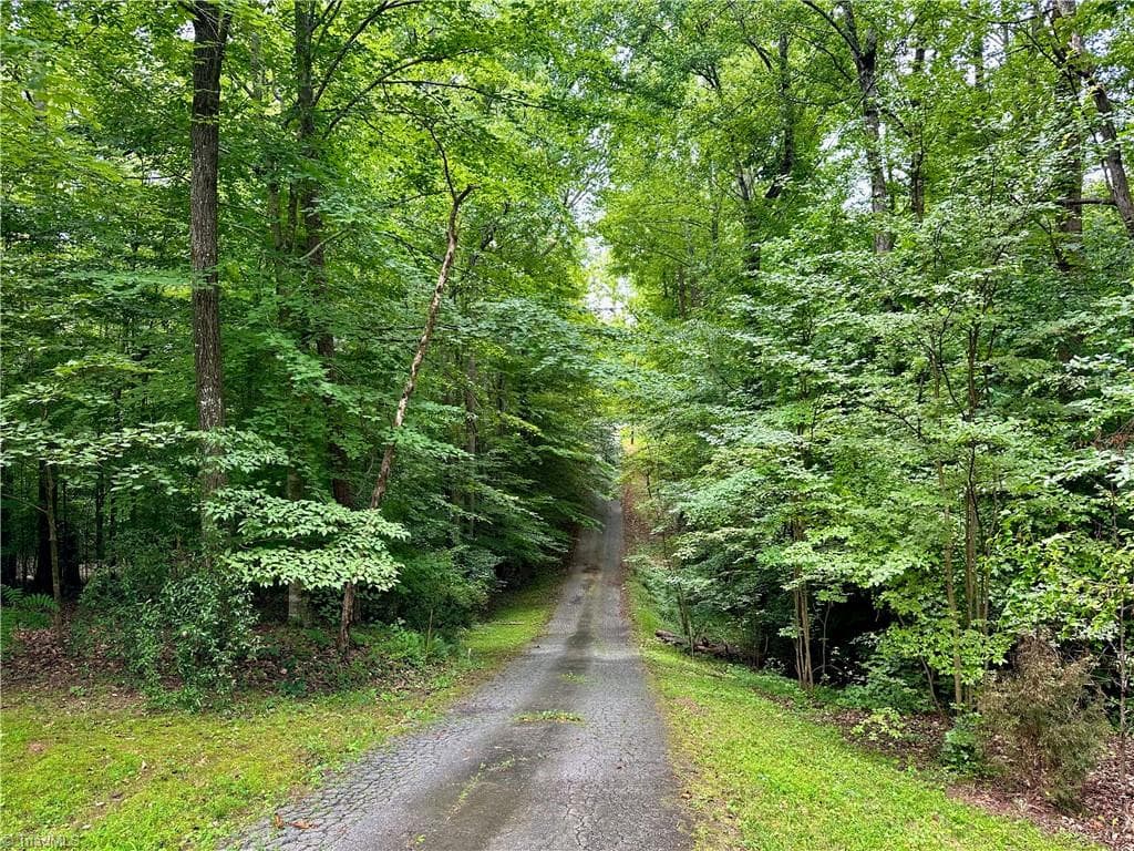 Driveway - 549 Conrad Road, Lewisville NC 27023, Lewisville