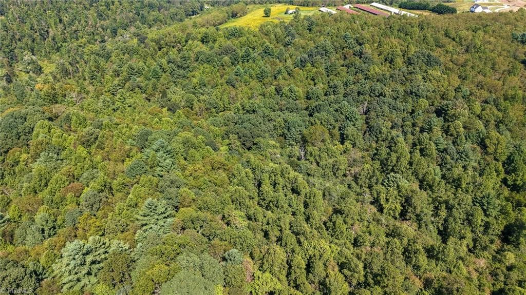 Unimproved Land at 0 Little Mountain Church Road, North Wilkesboro NC 28659, North Wilkesboro, photo 13 of 15