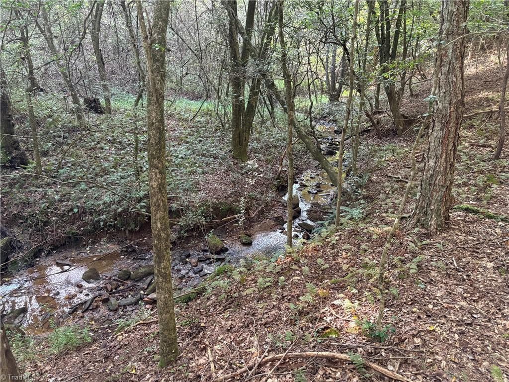 Unimproved Land at 0 Little Mountain Church Road, North Wilkesboro NC 28659, North Wilkesboro, photo 12 of 15