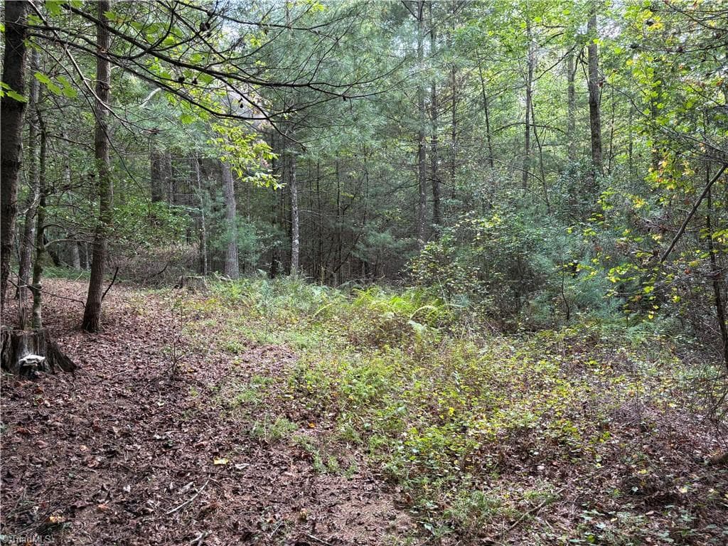 Unimproved Land at 0 Little Mountain Church Road, North Wilkesboro NC 28659, North Wilkesboro, photo 7 of 15