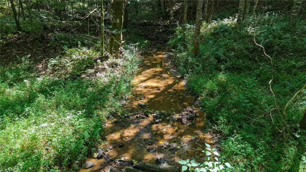 Unimproved Land at 0 Little Mountain Church Road, North Wilkesboro NC 28659, North Wilkesboro, photo 9 of 15