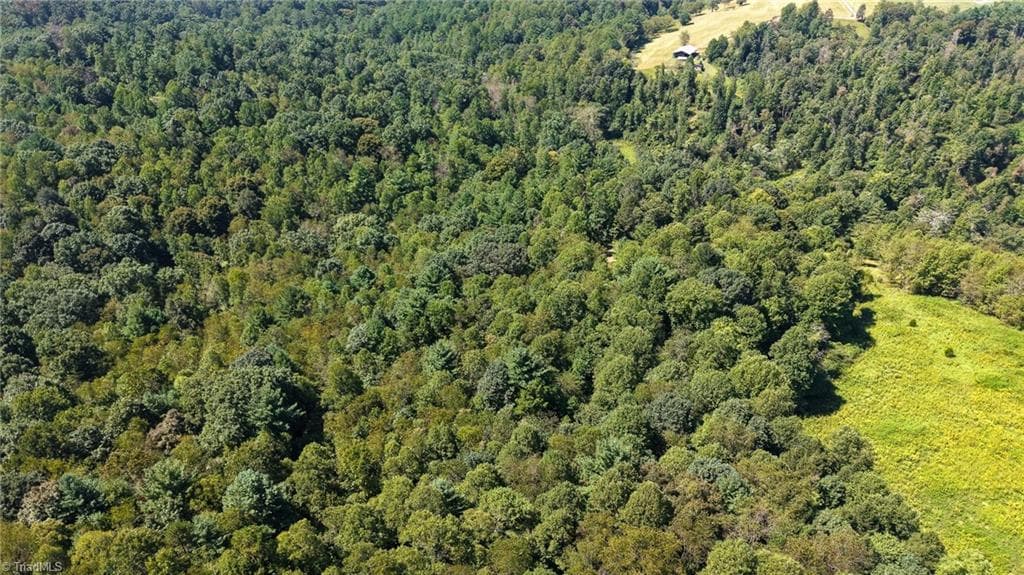 Unimproved Land at 0 Little Mountain Church Road, North Wilkesboro NC 28659, North Wilkesboro, photo 10 of 15
