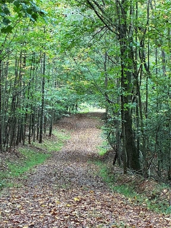 Unimproved Land at 0 Little Mountain Church Road, North Wilkesboro NC 28659, North Wilkesboro, photo 15 of 15