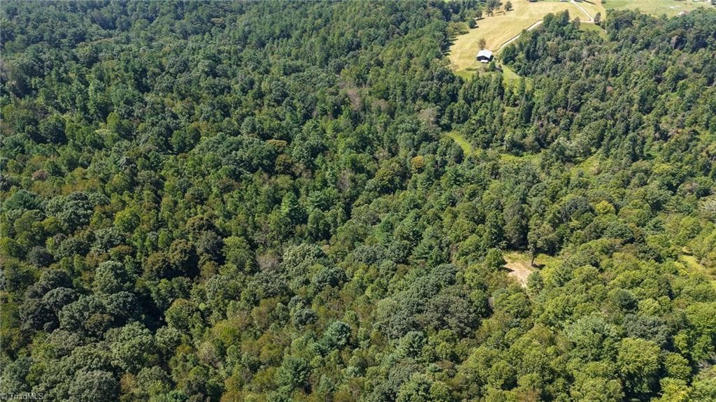 Unimproved Land at 0 Little Mountain Church Road, North Wilkesboro NC 28659, North Wilkesboro, photo 11 of 15