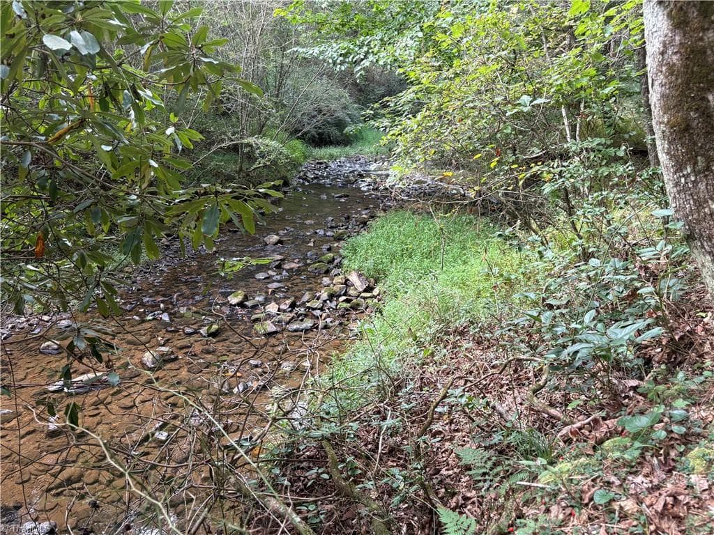 Unimproved Land at 0 Little Mountain Church Road, North Wilkesboro NC 28659, North Wilkesboro, photo 8 of 15