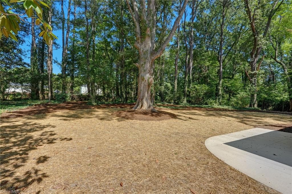 Stick/Site Built at 807 Claymore Court, Reidsville NC 27320, Reidsville, photo 19 of 98