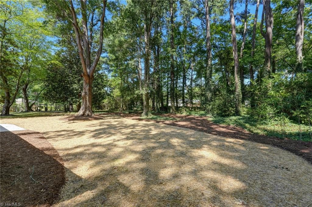 Stick/Site Built at 807 Claymore Court, Reidsville NC 27320, Reidsville, photo 21 of 98