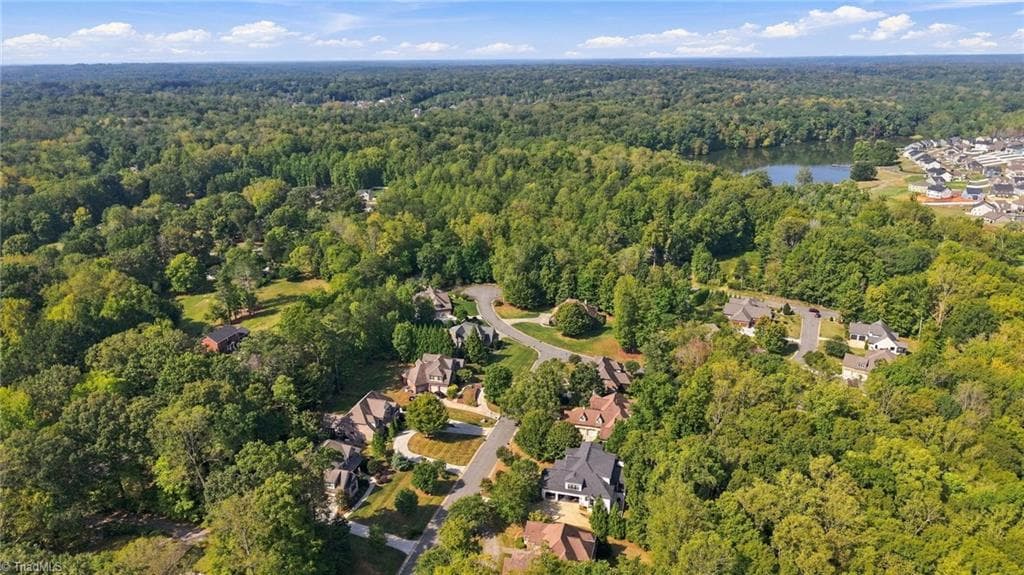 Single Family Residence at 2730 Spicewood Trails Lane, Pfafftown NC 27106, photo 9 of 12