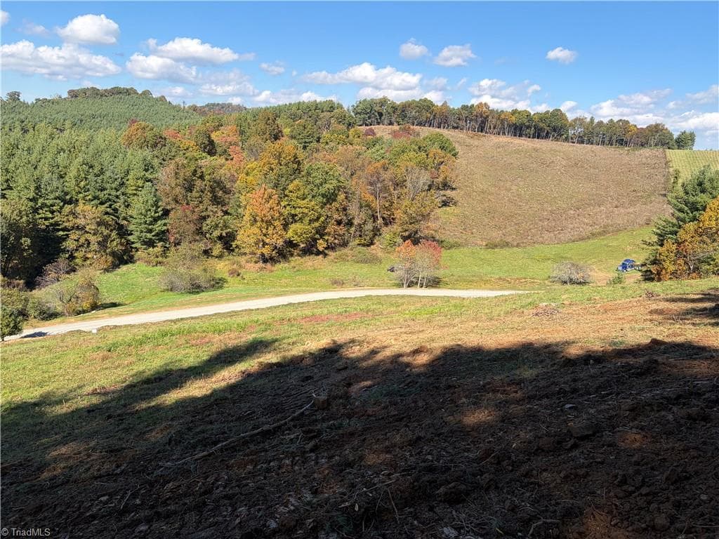 Single Family Residence at 00 Lot 6 New Hope Church Road, Laurel Springs NC 28644, photo 2 of 9