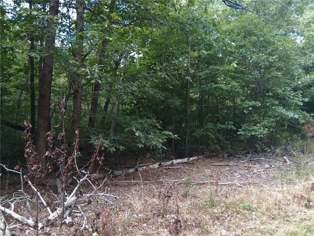 Unimproved Land at 600 Crowder Road, Madison NC 27025, photo 10 of 14