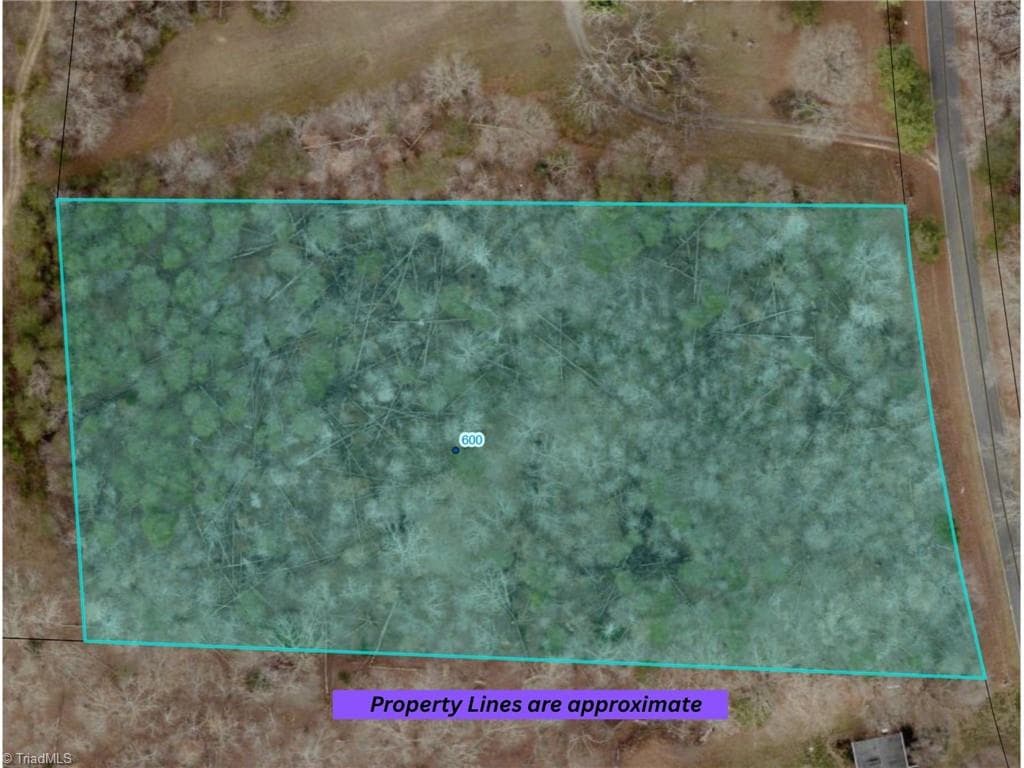 Unimproved Land at 600 Crowder Road, Madison NC 27025, photo 11 of 14