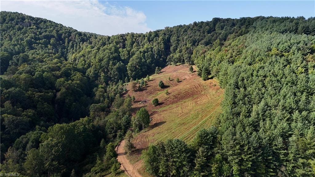 00 Lot 105 Irwin Grocery Road, Laurel Springs NC 28644