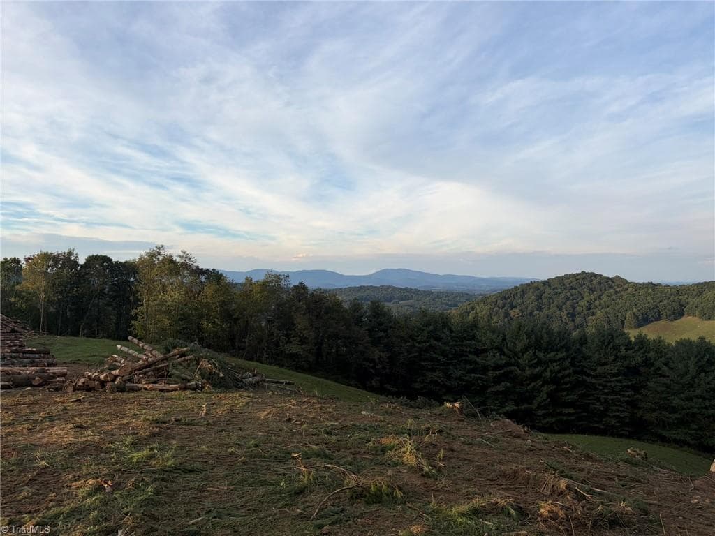 Single Family Residence at 00 Lot 19 New Hope Church Road, Laurel Springs NC 28644, Laurel Springs, photo 15 of 20