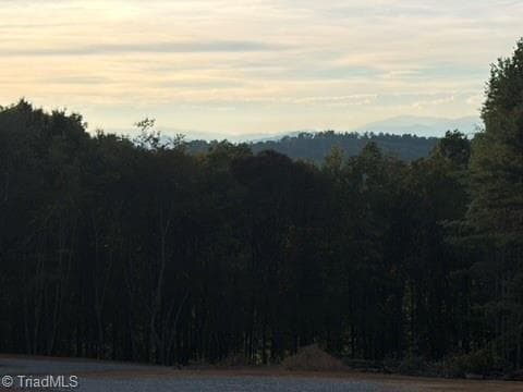 Single Family Residence at 00 Lot 22 New Hope Church Road, Laurel Springs NC 28644, Laurel Springs, photo 10 of 10