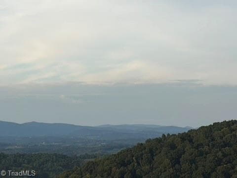 Single Family Residence at 00 Lot 25 New Hope Church Road, Laurel Springs NC 28644, Laurel Springs, photo 19 of 22
