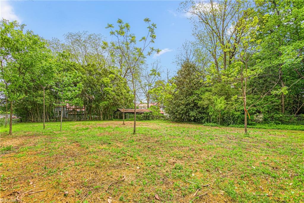 Stick/Site Built at 429 Asheboro Street, Liberty NC 27298, Liberty, photo 40 of 50